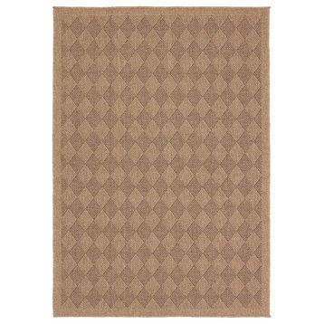 Vibe by Jaipur Living Amanar Indoor/Outdoor Tribal Brown Area Rug 5'X8'