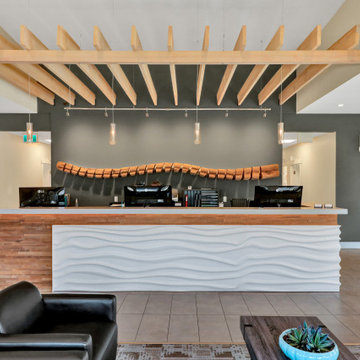 Discovery Chiropractic