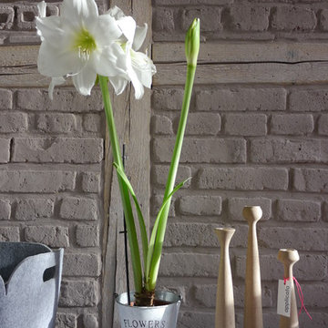 Kerzenständer BLOSSOM von applicata
