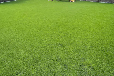 Design ideas for a landscaping in Las Vegas.