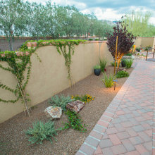 Desert landscape ideas