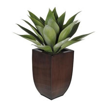 Artificial Plants and Stuff