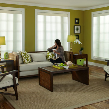 Filter Light with Lutron Roller Shades