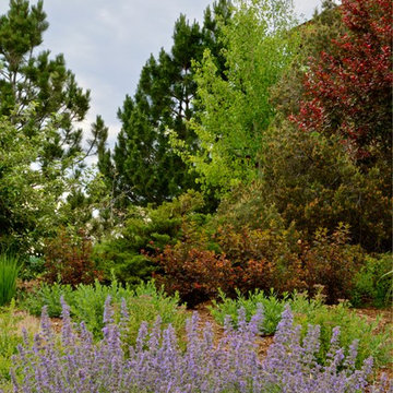 Plant Combinations