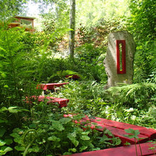 woodland garden Ideas