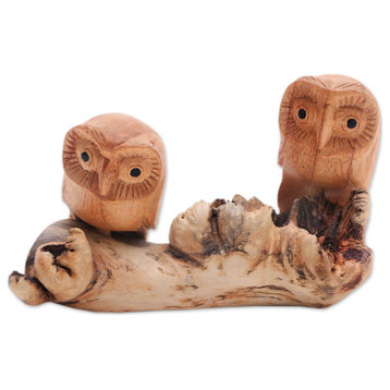 Novica Handmade Owl Romance Wood Sculpture