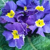 Rhonda King's photo