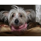 Victoria Schopp's photo