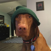 George Gem's photo