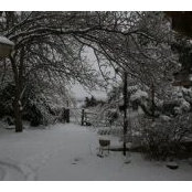 Brandi Young's photo