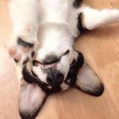 Chang Wang's photo