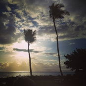 sharethealoha's photo