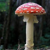 Trisha Thompson's photo