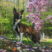 Anne Tucker's photo