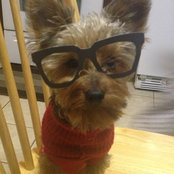 Dina Oliveira's photo