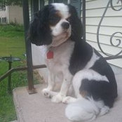 Christine Evans's photo