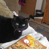 Gwen Smith's photo