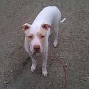 Daniel Kuhn's photo