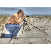 Don Williamsons foto
