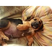 Lawrence Mann's photo