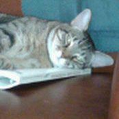 John Dixon's photo