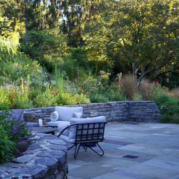 Bryn Mawr, PA - Native Meadow Design/Install