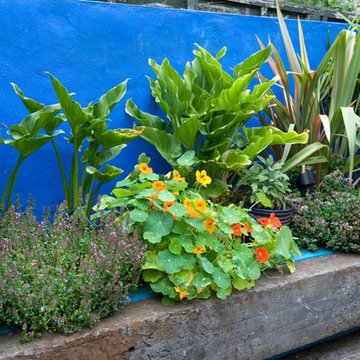 Cobalt Blue Wall with Raised Railway Sleeper Planting Bed