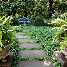 Paths