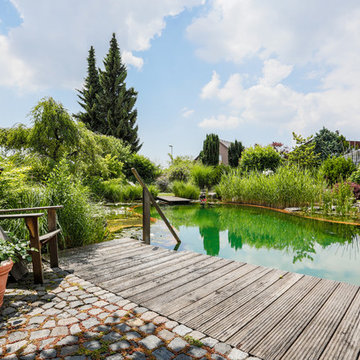 Schwimmteich Natur Pur