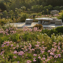 Butterfly Garden
