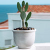 Agave Modern Round Pot for Indoors & Outdoors - 18'' (Rust)