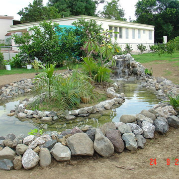 Biological Koi Ponds