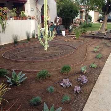 DURING - Desert Landscape Design