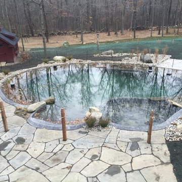 BioNova Natural Swimming Pool - Stamford, CT