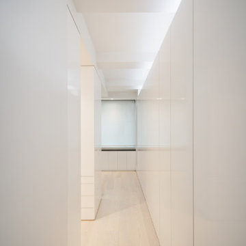Modern Master Closets