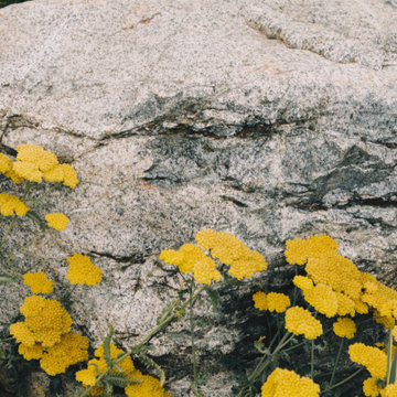 Hilltop