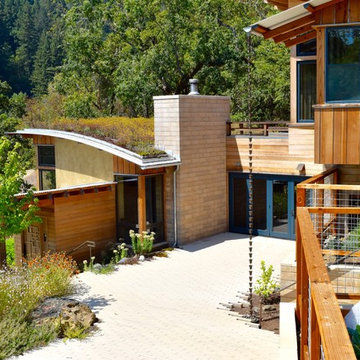 Living Roof