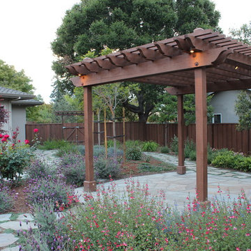 Saratoga Project