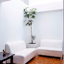 professiona./office