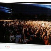 Elena Stirbescu's photo