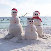 Trisha Edmiston's photo