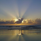 Chaim Rothstein's photo