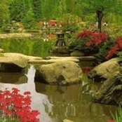 Deborah Logan Butler's photo