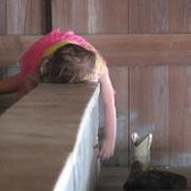 Sheila Riese's photo