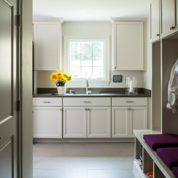 McLean Renovation: Kitchen, sunroom, mudroom, fireplace, basement, outdoor space