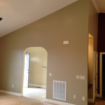 Kitchen and living room paint job
