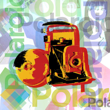 Polaroid Camera Pop Art, 24x24 Rolled
