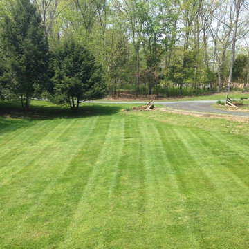 Spring Clean-up