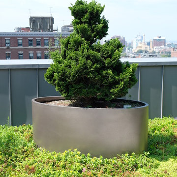Penthouse Patio & Green Roof - Beacon Hill, Boston
