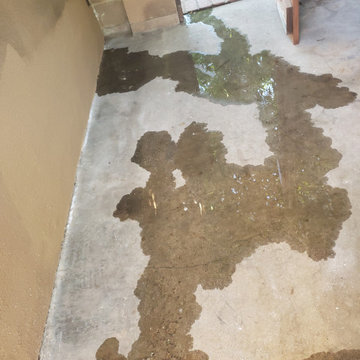 Backyard clean up and remodel